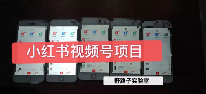 野路子小红书视频号1.0项目，直接上手操作就能赚钱的视频号项目-88项目资源库