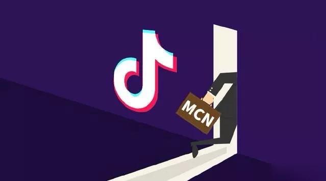 抖音MCN孵化课程，帮助商家拓客，帮助达人更好变现的课程，从0基础到超级IP-88项目资源库