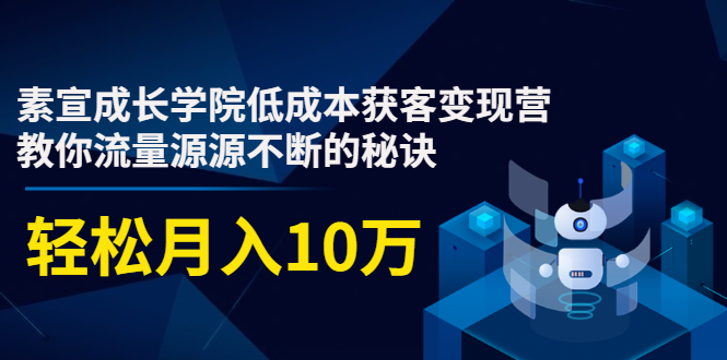 素宣成长学院低成本获客变现营，教你流量源源不断的秘诀，轻松月入10万-88项目资源库