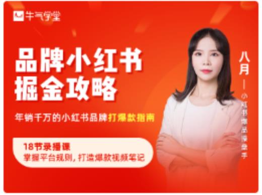 品牌小红书掘金攻略，年销千万的小红书品牌打爆款指南-88项目资源库