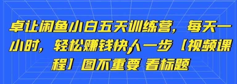 卓让闲鱼小白五天训练营，每天一小时，轻松赚钱快人一步-88项目资源库