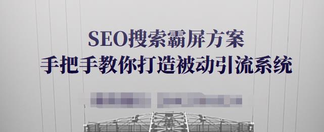 SEO搜索霸屏方案，手把手教你打造被动引流系统【视频课程】-88项目资源库