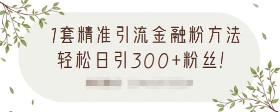 1套精准引流金融粉方法，轻松日引300+粉丝-88项目资源库