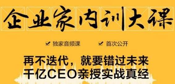 企业家内训大课，未来企业必学经验，价值1299元-88项目资源库