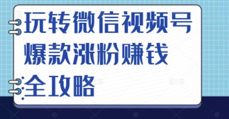 玩转微信视频号爆款涨粉赚钱全攻略，让你快速抓住流量风口，收获红利财富-88项目资源库