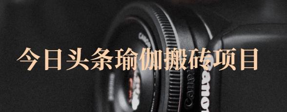 猎人社区·今日头条瑜伽搬砖项目，单号一天几十收入，可以批量操作！-88项目资源库