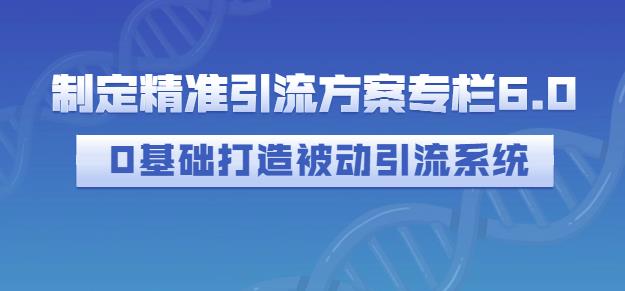 制定精准引流方案专栏6.0，0基础打造被动引流系统-88项目资源库