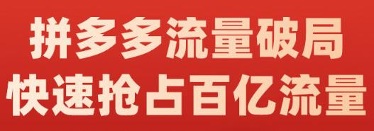 阿杰·拼多多流量破局:如何打黑标，爆款的思路，拼多多流量框架，快速抢占百亿流量-88项目资源库