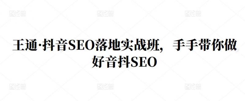王通·抖音SEO落地实战班，手‬手带你做好音抖‬‬SEO-88项目资源库