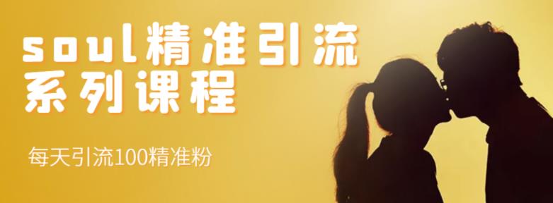 soul精准引流系列课程，每天引流100精准粉-88项目资源库