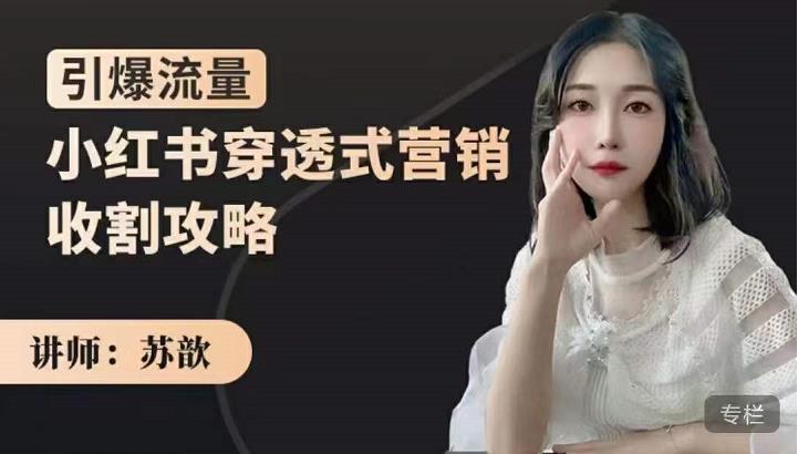 苏歆：小红书穿透式营销收割攻略，引爆流量，助你玩转小红书-88项目资源库