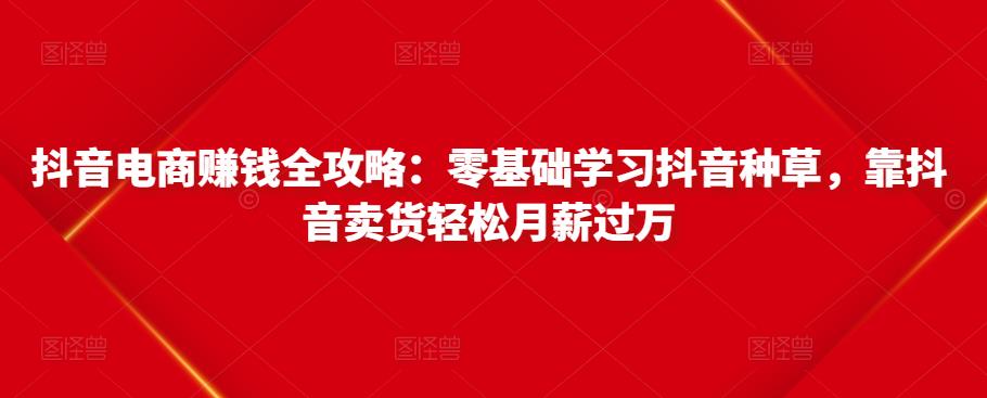 抖音电商赚钱全攻略：零基础学习抖音种草，靠抖音卖货轻松月薪过万-88项目资源库