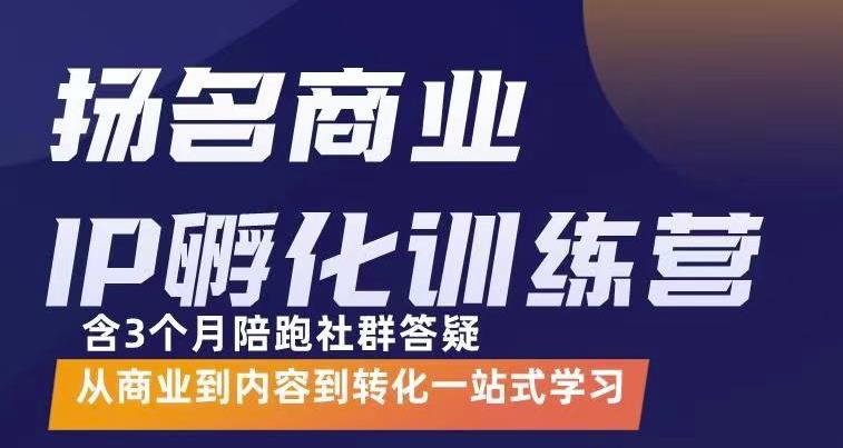 杨名商业IP孵化训练营，从商业到内容到转化一站式学 价值5980元-88项目资源库