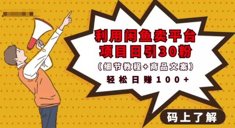 利用闲鱼卖平台项目课程资源日引流30+精准粉丝，轻松日赚100+，积累人脉可实现二次变-88项目资源库