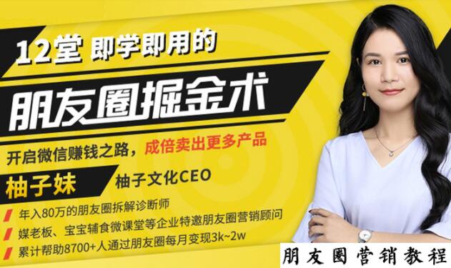 【营销必学】12堂学之即用的朋友圈掘金术：开启你的副业赚钱之路-88项目资源库