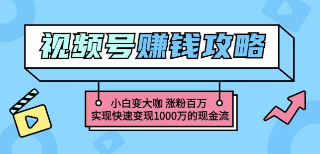 玩转微信视频号赚钱：小白变大咖涨粉百万实现快速变现1000万的现金流-88项目资源库