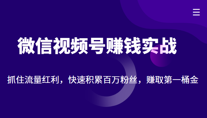 微信视频号赚钱实战：抓住流量红利，快速积累百万粉丝，赚取你的第一桶金-88项目资源库