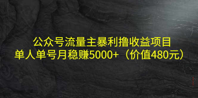 公众号流量主暴利撸收益项目，单人单号月稳赚5000+（价值480元）-88项目资源库