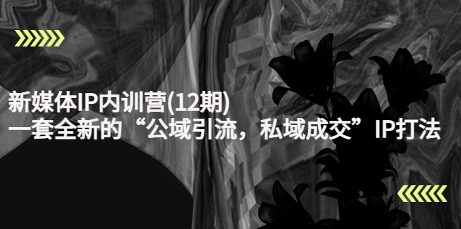 新媒体IP内训营(12期)，一套全新的“公域引流，私域成交”IP打法，直接带走-88项目资源库