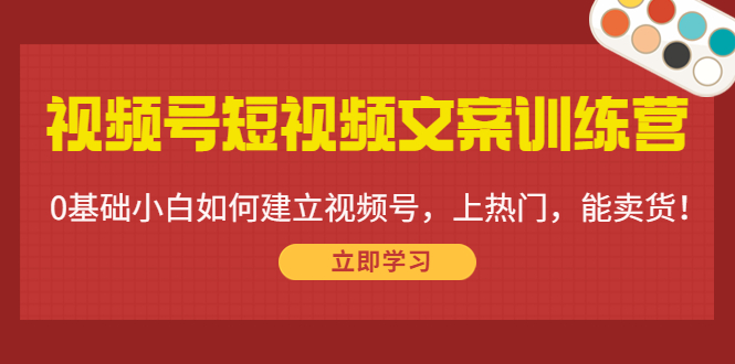 视频号短视频文案训练营：0基础小白如何建立视频号，上热门，能卖货！-88项目资源库