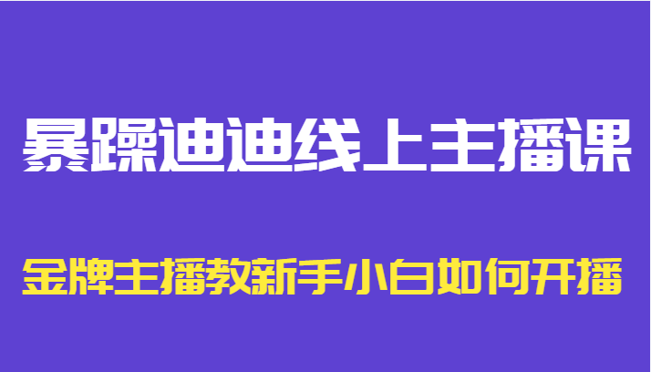 暴躁迪迪线上主播课，金牌主播教新手小白如何开播-88项目资源库