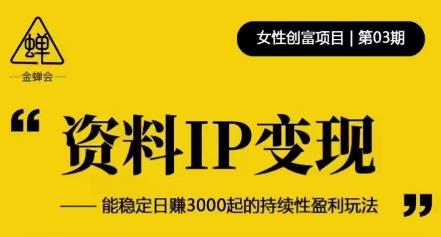 资料IP变现，能稳定日赚3000起的持续性盈利玩法-88项目资源库