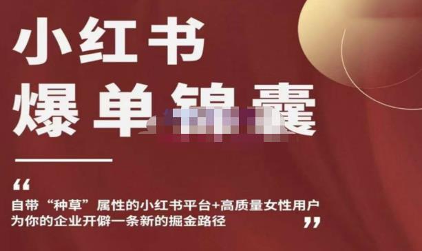 小红书爆单锦囊,自带种草属性+高质量女性用户,为你的企业开辟一条新的掘金路径-88项目资源库