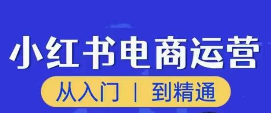 顽石小红书电商高阶运营课程，从入门到精通，玩法流程持续更新-88项目资源库