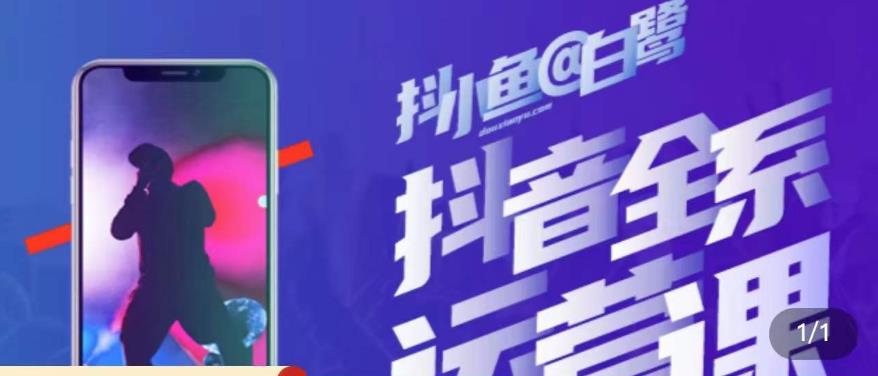 白鹭·主播内训营，运营主播话术起号进阶能力提升-88项目资源库