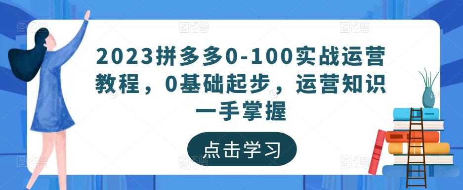 2023拼多多0-100实战运营教程，0基础起步，运营知识一手掌握-88项目资源库