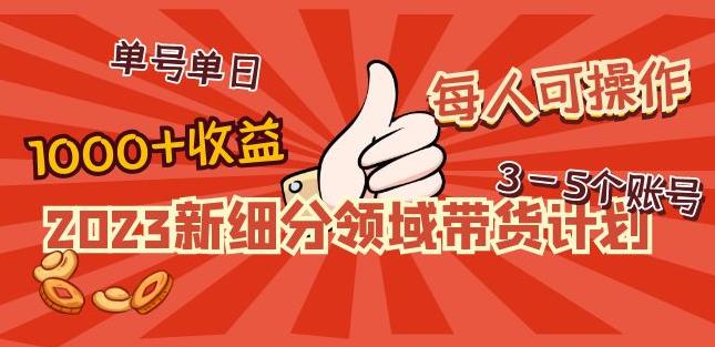 2023新细分领域带货计划：单号单日1000+收益不难，每人可操作3-5个账号-88项目资源库