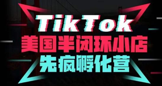 疯人院·TikTok美国半闭环小店孵化营，抢占TikTok美国蓝海市场，开店、运营、带货、投流全实操-88项目资源库