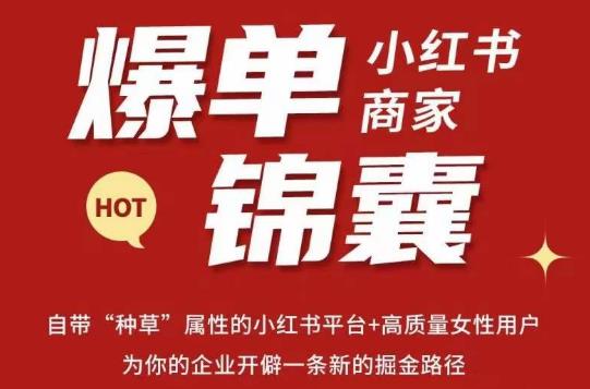无畏·小红书商家爆单锦囊，掌握小红书各大规则，快速精准抢占行业和市场-88项目资源库