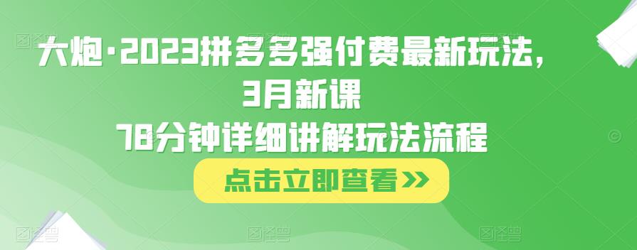 大炮·2023拼多多强付费最新玩法，3月新课​78分钟详细讲解玩法流程-88项目资源库