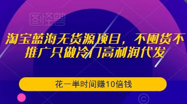 淘宝蓝海无货源项目，不囤货不推广只做冷门高利润代发，花一半时间赚10倍钱-88项目资源库