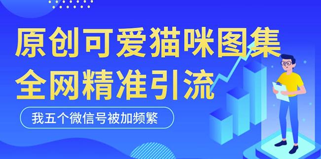 黑科技纯原创可爱猫咪图片，全网精准引流，实操5个VX号被加频繁-88项目资源库