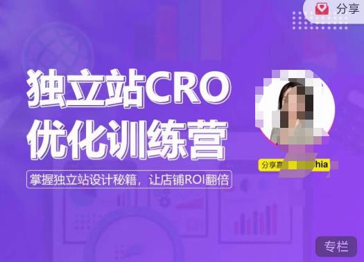 独立站CRO优化训练营，掌握独立站设计秘籍，打造高转化的独立站，让店铺ROI翻倍-88项目资源库