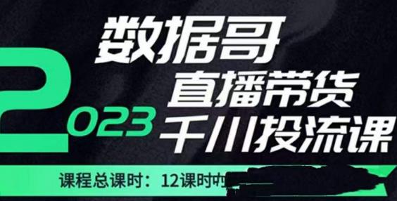 数据哥2023直播电商巨量千川付费投流实操课，快速掌握直播带货运营投放策略-88项目资源库