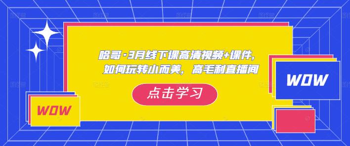 哈哥·3月线下实操课高清视频+课件，如何玩转小而美，高毛利直播间-88项目资源库