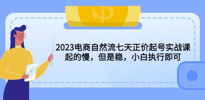 2023电商自然流七天正价起号实战课：起的慢，但是稳，小白执行即可！-88项目资源库