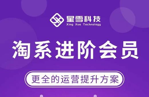 星雪·淘系进阶课程，快速提升突破技能流量瓶颈必备（更新2023年5月）-88项目资源库