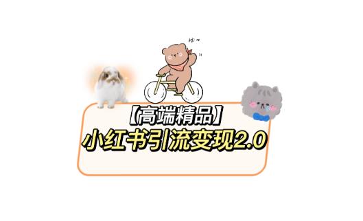 小红书最新引流变现教程，全网最新最详细的视频教程以及素材-第一资源库