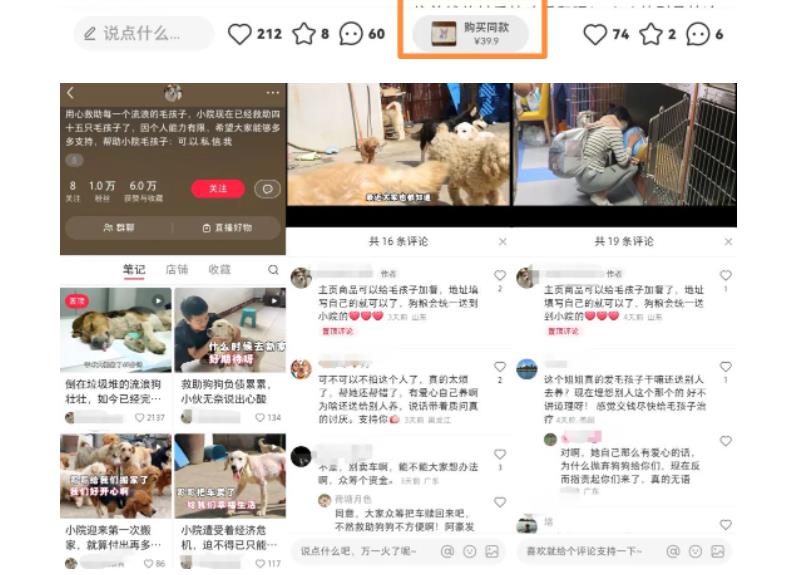 小红书蓝海类赛道：小动物打赏与购买变现副业项目，一条龙玩法分享给你！-88项目资源库