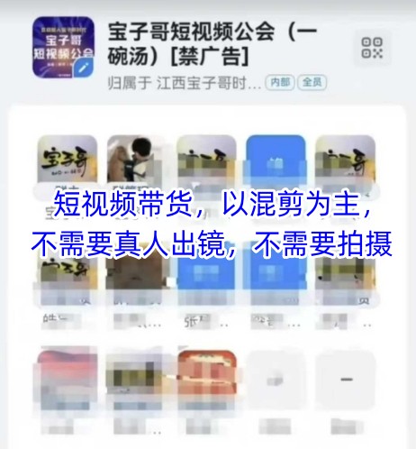 宝子哥头部团队短视频带货，以混剪为主，不需要真人出镜，不需要拍摄【更新12月】-88项目资源库