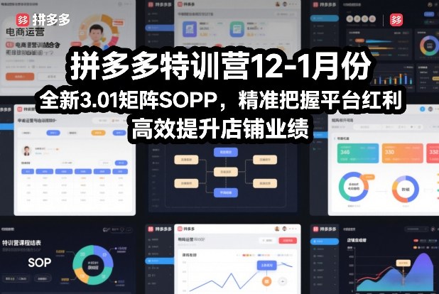 拼多多特训营12-1月份，全新3.01矩阵Sop，精准把握平台红利，高效提升店铺业绩-88项目资源库