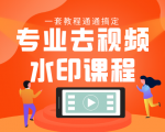 专业去视频水印教程 静态水印、动态水印、文字水印、图片水印一套教程通通搞定-88项目资源库