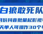 白狼敢死队最新抖音短视频批量起影视号（一天单人可操作30个号）视频课程-88项目资源库