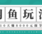龟课·闲鱼项目玩法实战班第12期,操作10天左右利润有8000元细节玩法-88项目资源库