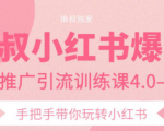 狼叔小红书爆款推广引流训练课4.0，手把手带你玩转小红书-88项目资源库
