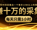 年赚十万的采集站，每天却只需要1小时，一年时间采集出一个售价10W以上的网站-88项目资源库